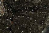 Septarian Dragon Egg Geode - Black Crystals #137944-1
